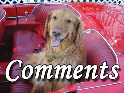 Comments